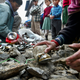 Illustration for article titled Nepal Will Force Each Everest Climber To Collect 18 Pounds of Trash